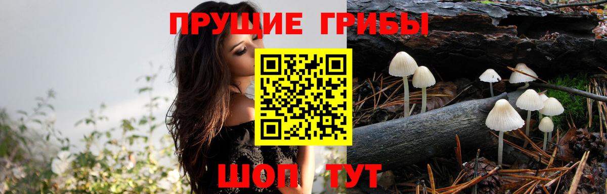 Галлюциногенные грибы ЛСД Усть-Джегута