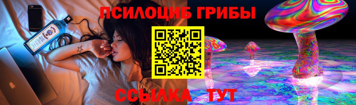 Псилоцибиновые грибы мицелий  Вход с VPN  наркошоп  Усть-Джегута  Псилоцибиновые грибы GOLDEN TEACHER 