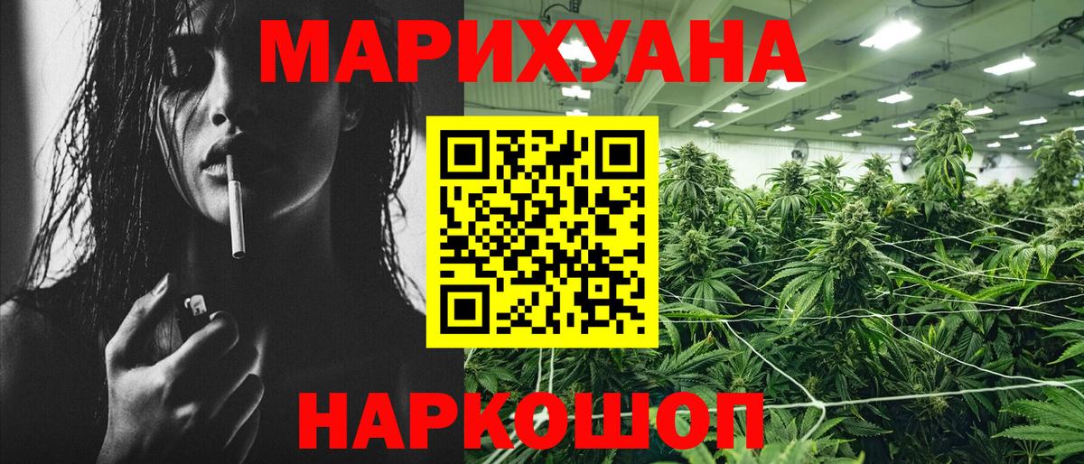Каннабис индика Усть-Джегута